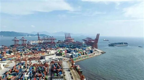 Kev Loj Hlob Hloov Ntawm Xov Paj